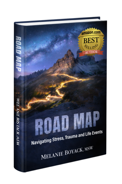 Road Map book cover
